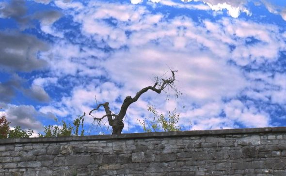 Crowdy day - short film