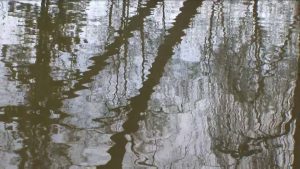 Video: Moment of reflection