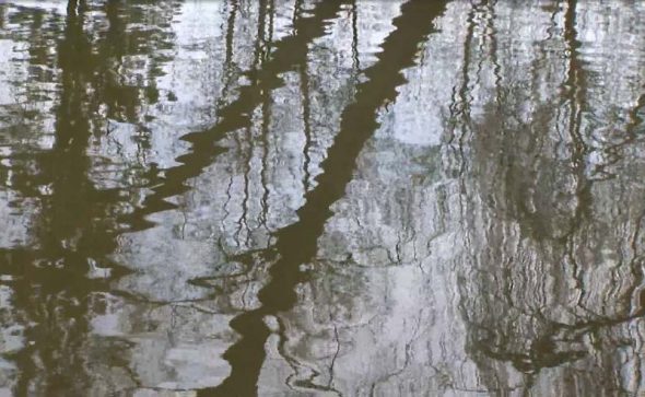 Video: Moment of reflection